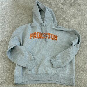Gray Princeton Hoodie for Men